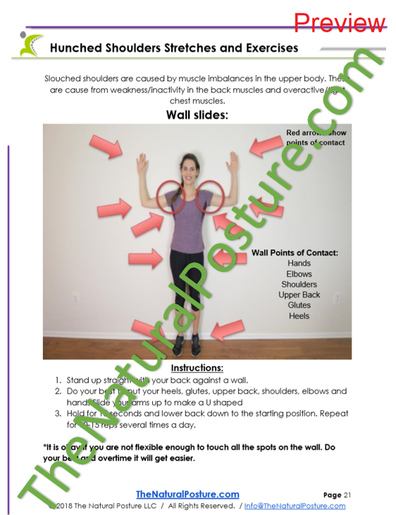 The Natural Posture™ Improvement Guide - The Natural Posture